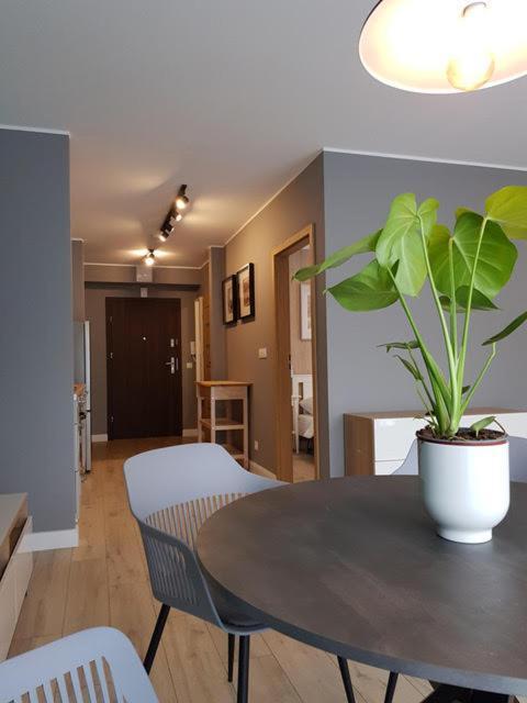 Apartament Triventi 88 Z Widokiem Na Sniezke - 5D Apartamenty Karpacz Kültér fotó